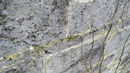 acastle 105855.jpg
